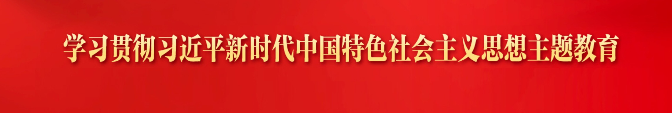 二十届四中全会精神